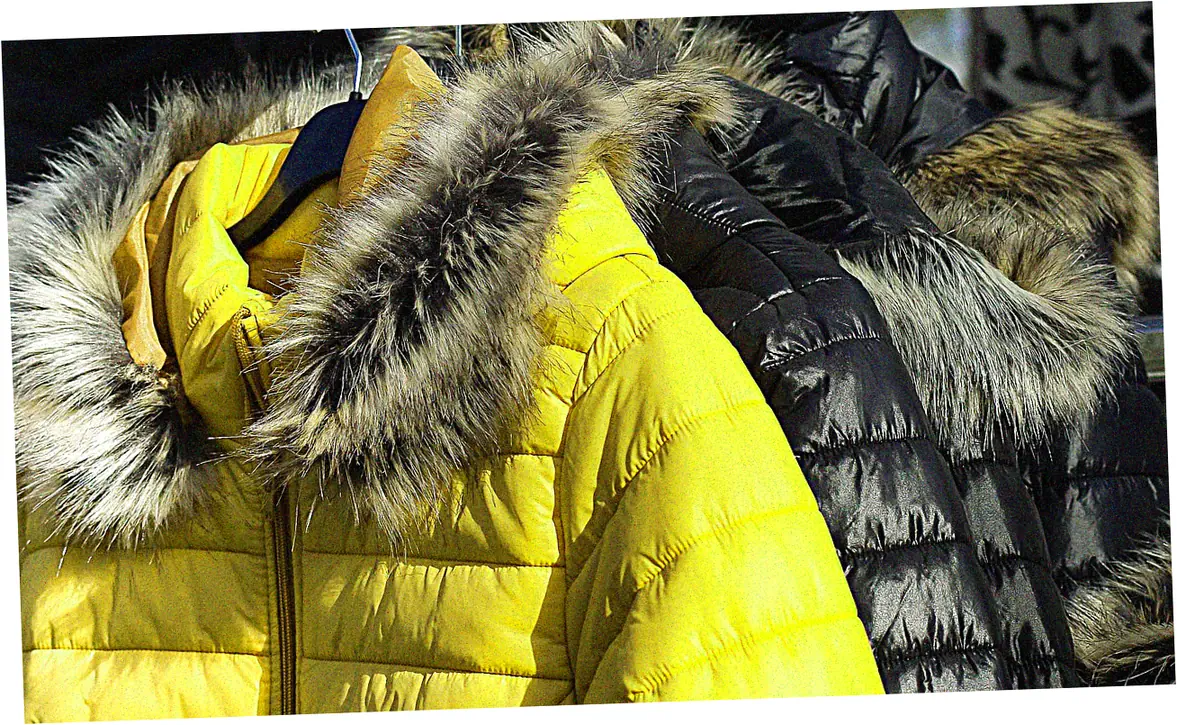 Anatomy of a Down Jacket