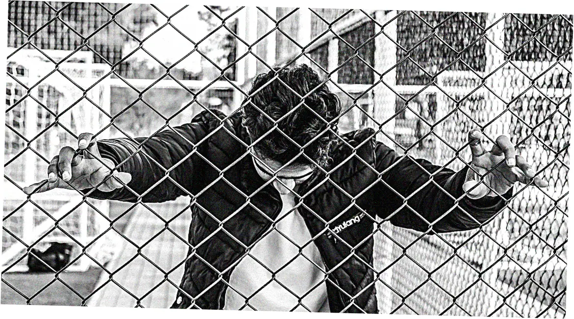 best down jackets 2022