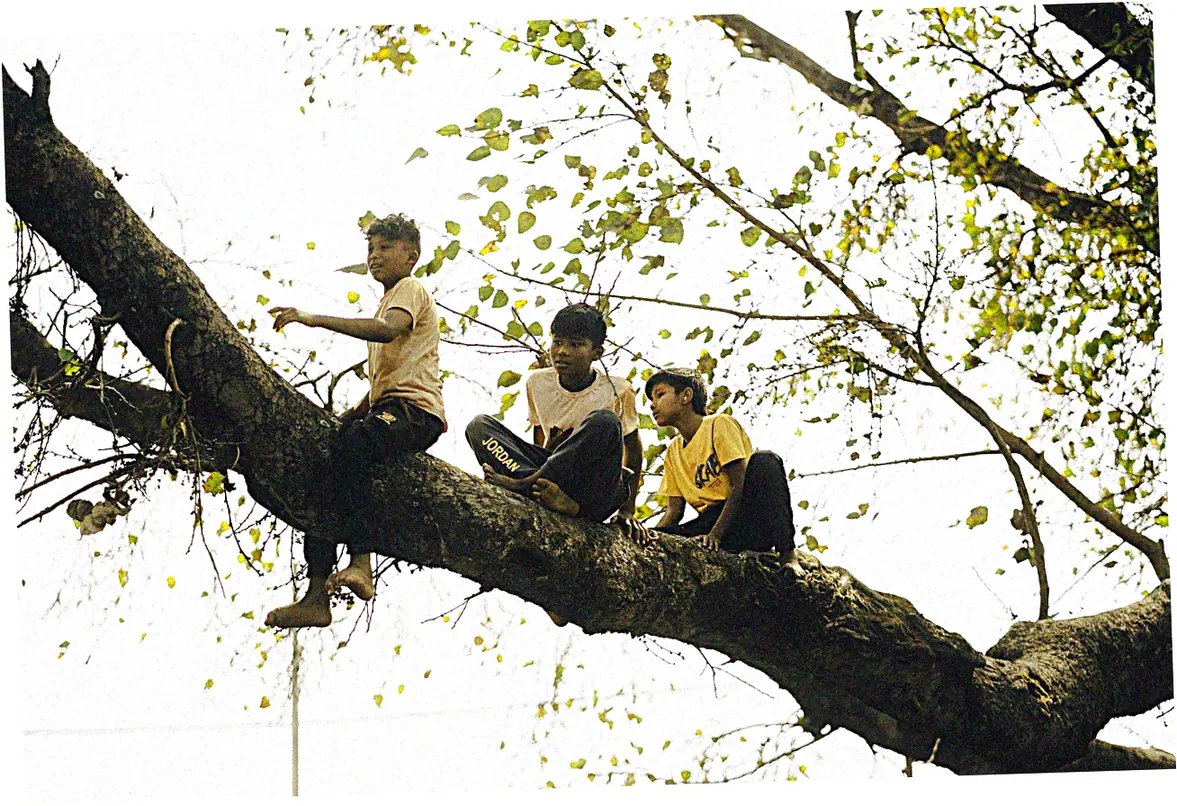 Sustainability and Ethical Sourcing Commitment