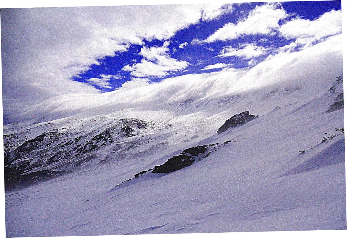 Performance in Various Conditions and Activities