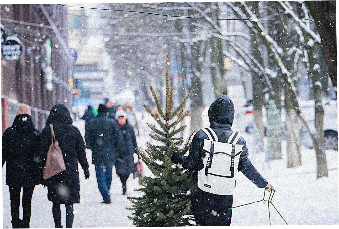 Limitations and Practical Considerations