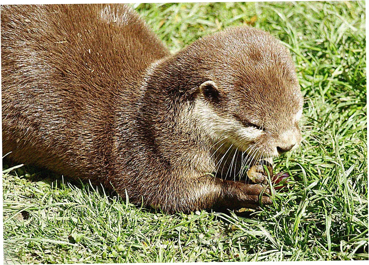 Let's talk about keeping your waterproof down jackets in good shape