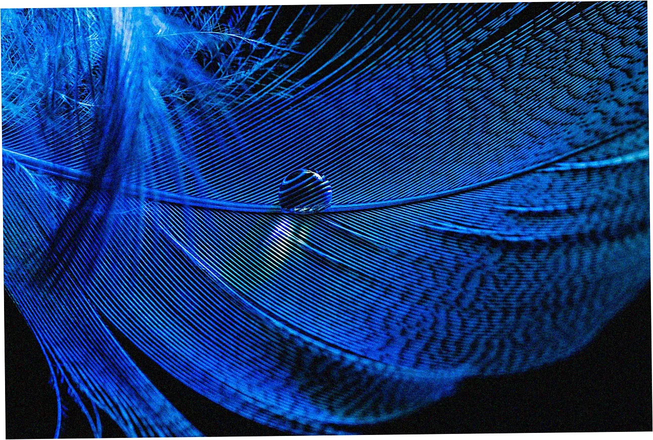 Let's talk about keeping your waterproof down jackets in good shape