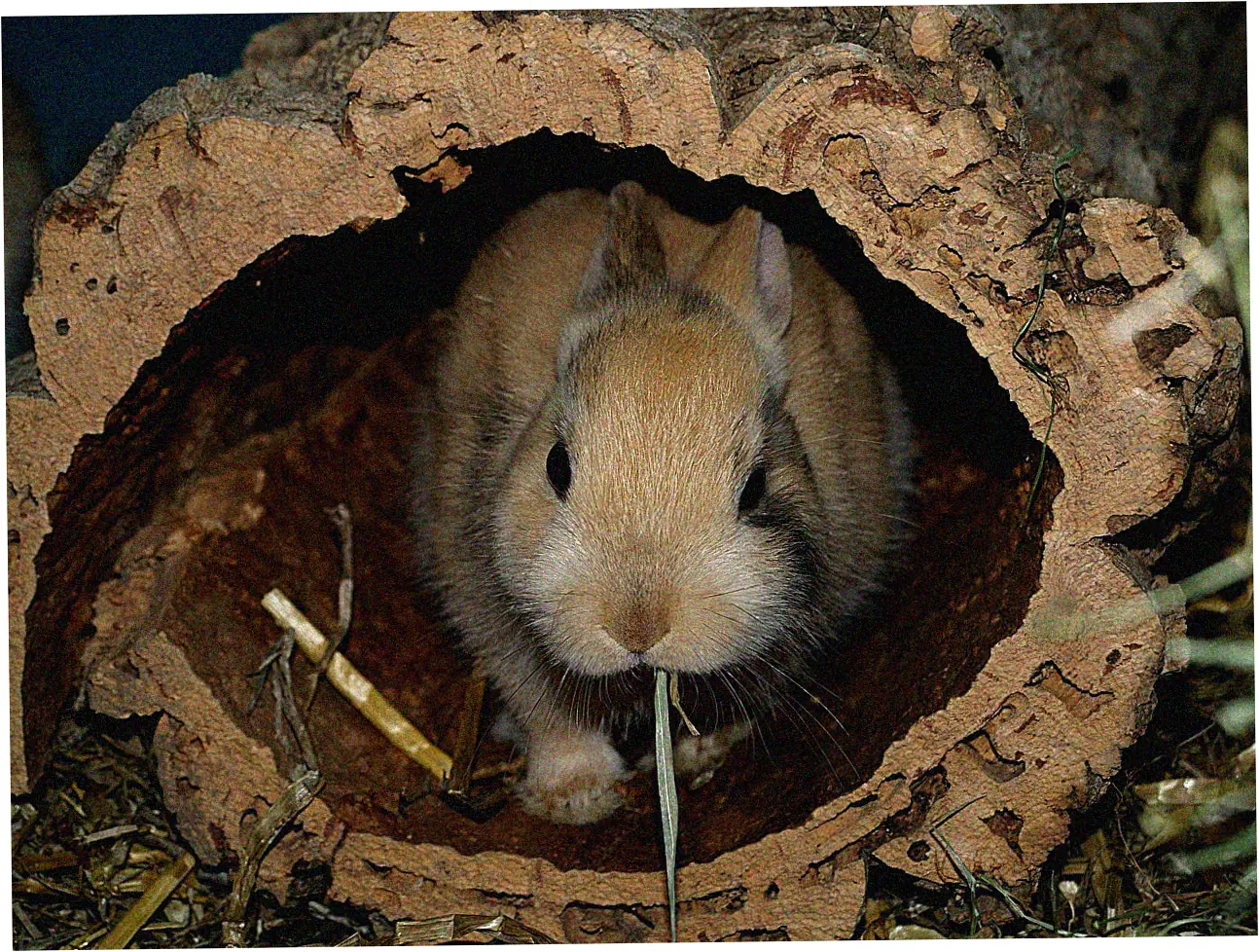 Pre-Drying Preparation Steps
