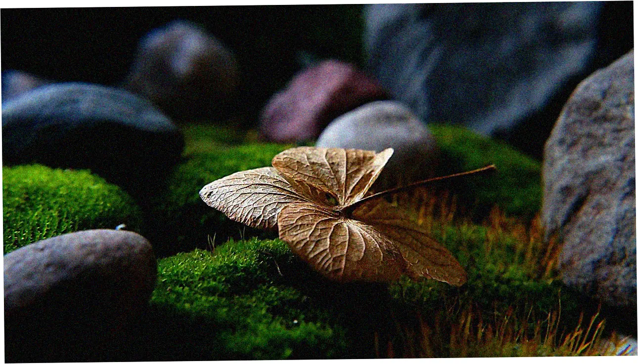 Benefits and Performance Characteristics