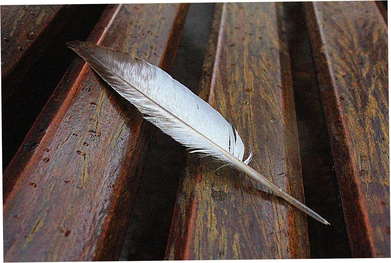 Post-Cleaning Maintenance and Storage