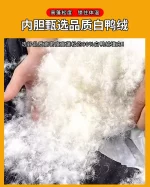 Canada Goose High-Quality Vest 290g 90% Down - Image 7